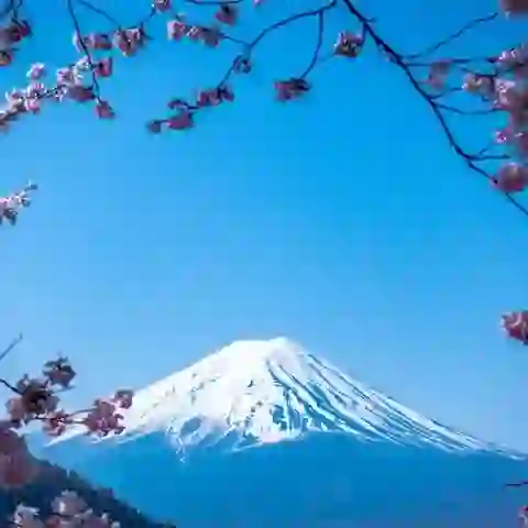 broken image